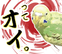 Parakeet 100% sticker #15654401