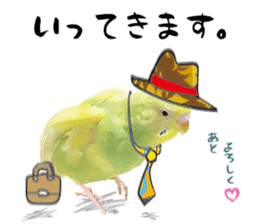 Parakeet 100% sticker #15654403