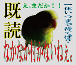 Parakeet 100% sticker #15654406