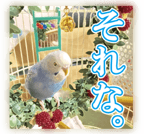 Parakeet 100% sticker #15654409