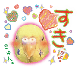 Parakeet 100% sticker #15654412