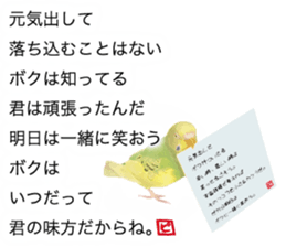 Parakeet 100% sticker #15654413