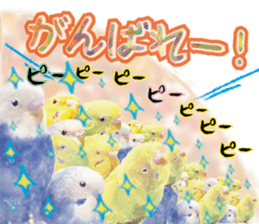 Parakeet 100% sticker #15654414