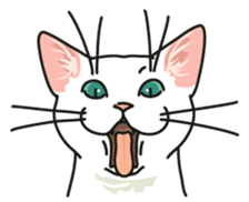 Let's play together3 sticker #15655067