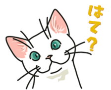 Let's play together3 sticker #15655069