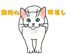 Let's play together3 sticker #15655071