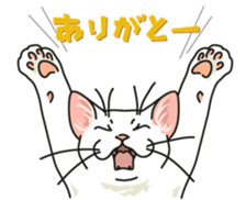 Let's play together3 sticker #15655075