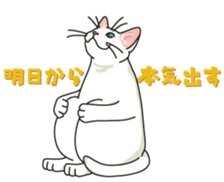 Let's play together3 sticker #15655076