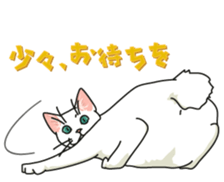 Let's play together3 sticker #15655080