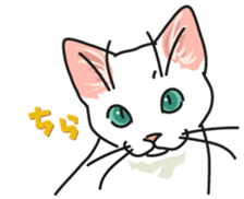 Let's play together3 sticker #15655082