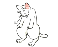 Let's play together3 sticker #15655084