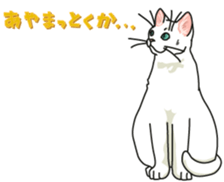 Let's play together3 sticker #15655093