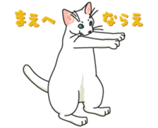 Let's play together3 sticker #15655096