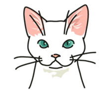 Let's play together3 sticker #15655098