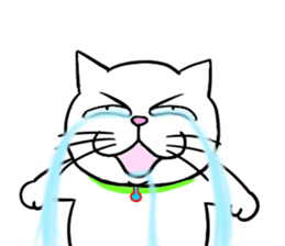 Annoying Cat 3 sticker #15655260