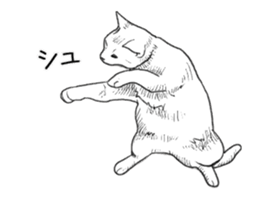 Morphing cat2 sticker #15655429