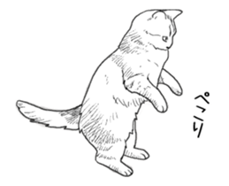 Morphing cat2 sticker #15655430