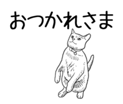 Morphing cat2 sticker #15655431