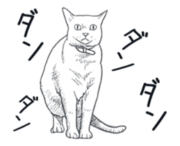 Morphing cat2 sticker #15655436