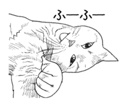 Morphing cat2 sticker #15655437