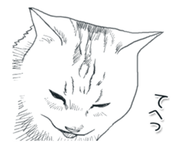 Morphing cat2 sticker #15655438