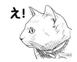 Morphing cat2 sticker #15655439