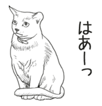 Morphing cat2 sticker #15655441