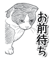 Morphing cat2 sticker #15655442