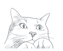 Morphing cat2 sticker #15655444