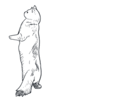 Morphing cat2 sticker #15655445