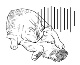 Morphing cat2 sticker #15655447