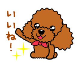 toy-poodle-Sticker sticker #15655746