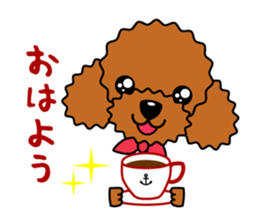 toy-poodle-Sticker sticker #15655748