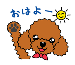 toy-poodle-Sticker sticker #15655749