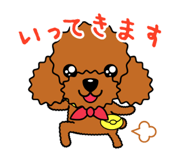 toy-poodle-Sticker sticker #15655750