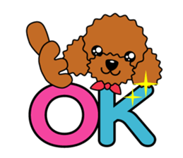 toy-poodle-Sticker sticker #15655752