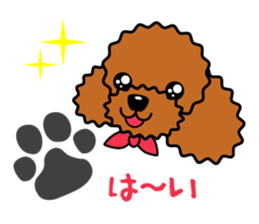 toy-poodle-Sticker sticker #15655754