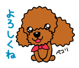 toy-poodle-Sticker sticker #15655755