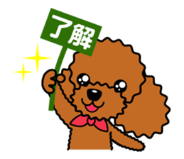 toy-poodle-Sticker sticker #15655756