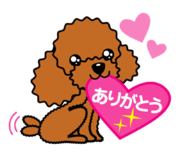 toy-poodle-Sticker sticker #15655758