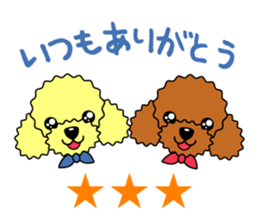 toy-poodle-Sticker sticker #15655759