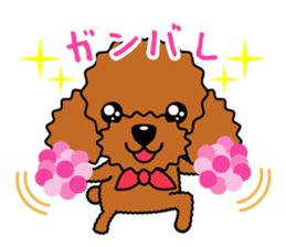 toy-poodle-Sticker sticker #15655763