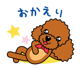 toy-poodle-Sticker sticker #15655764
