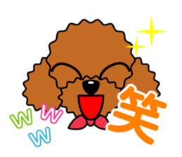 toy-poodle-Sticker sticker #15655765