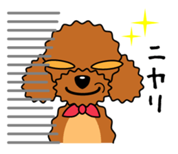 toy-poodle-Sticker sticker #15655767