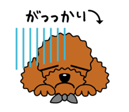 toy-poodle-Sticker sticker #15655769