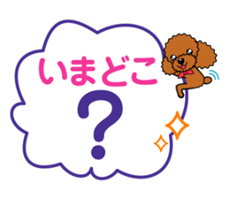 toy-poodle-Sticker sticker #15655771