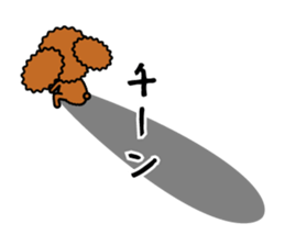 toy-poodle-Sticker sticker #15655773