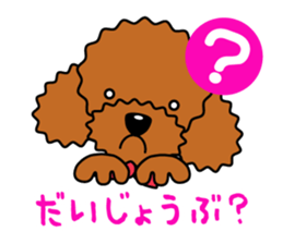 toy-poodle-Sticker sticker #15655775