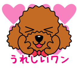 toy-poodle-Sticker sticker #15655777